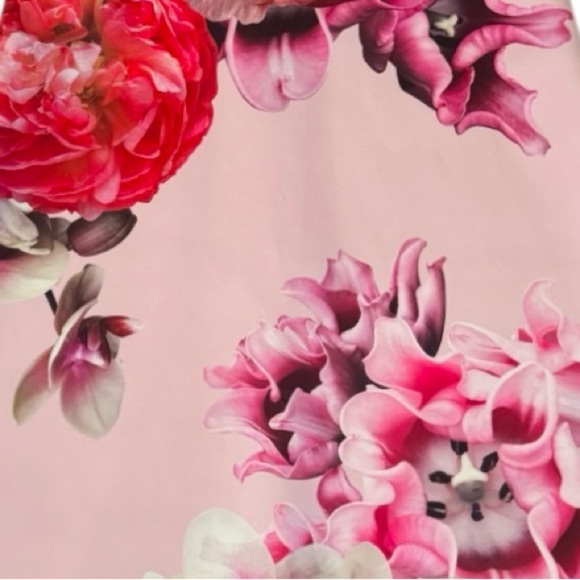Ted Baker London Seena Splendour Mini Short Floral Pink Dress, Size 2 (US 6) - Picture 9 of 12